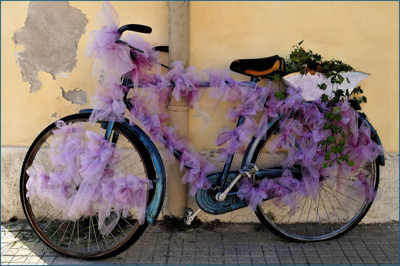 la bicyclette bleue ...