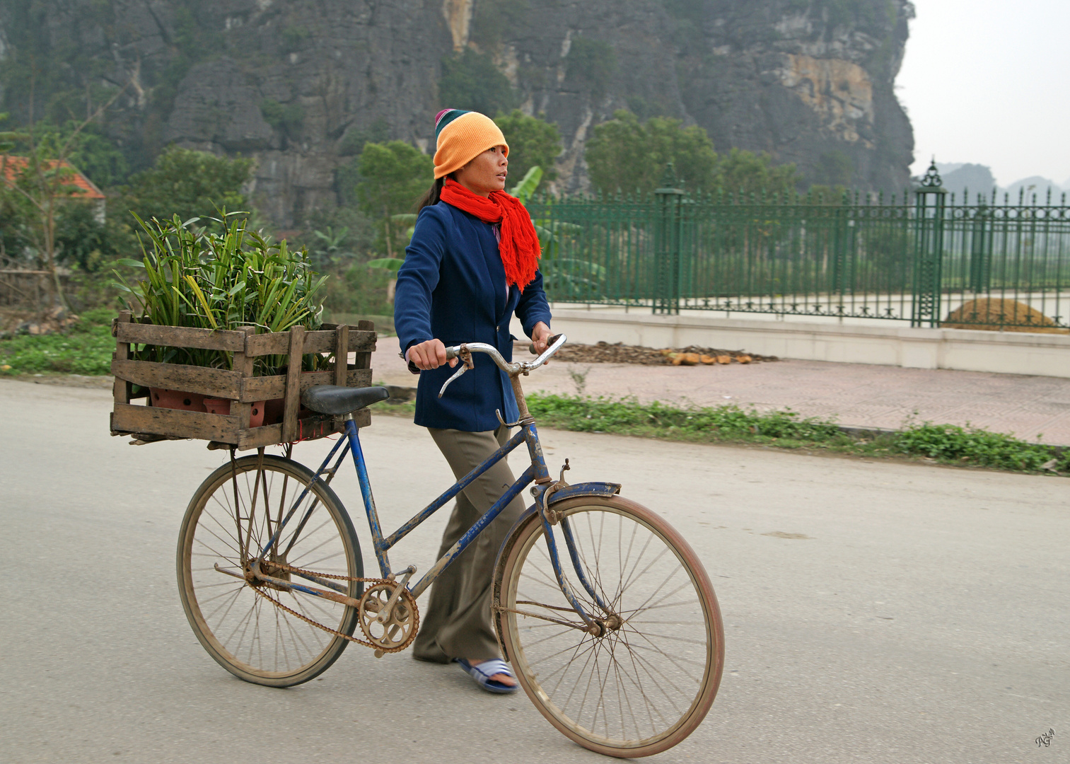 La bicyclette bleue ... un peu rouillée ....