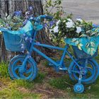 La bicyclette bleue, version pour enfants