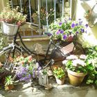 la bicyclette fleurie