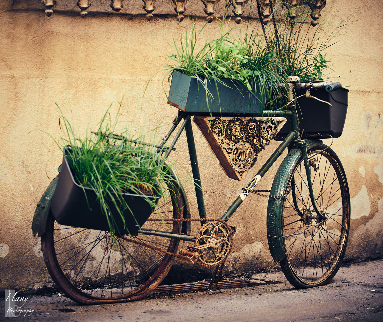  La Bicyclette verte