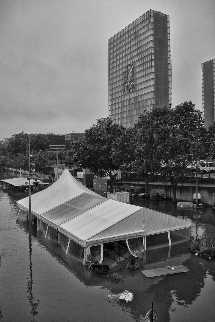 La BNF ... sauvée des eaux ! 