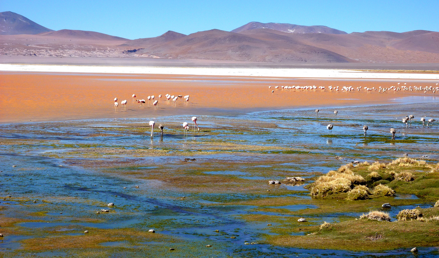 La Bolivie et ses Lagunes aux mille couleurs