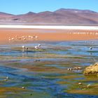 La Bolivie et ses Lagunes aux mille couleurs