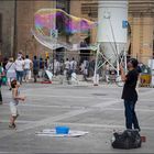 La bolla di sapone a Bologna