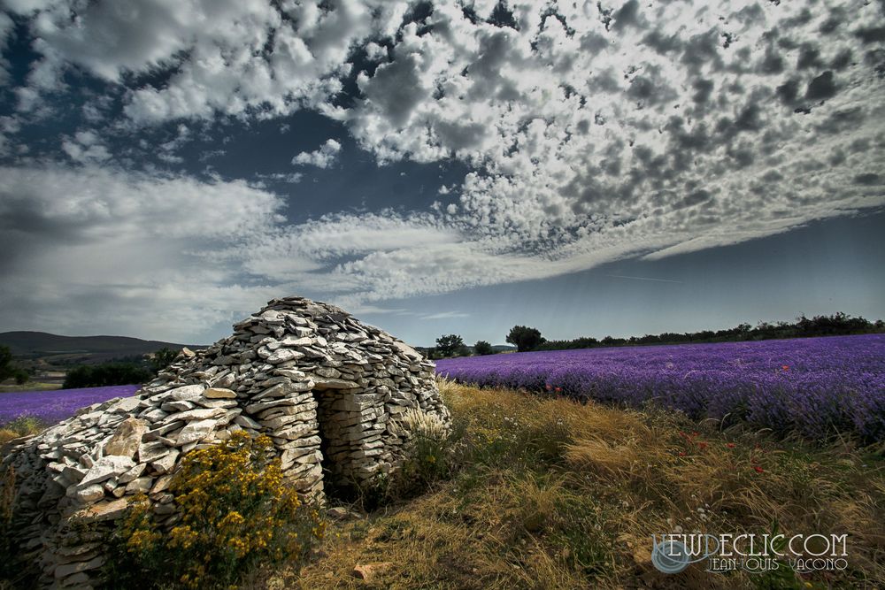 La borie des lavandes