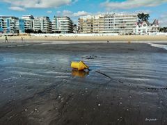 la bouée jaune