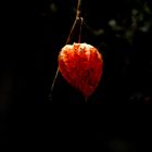 LA BOULE ORANGE