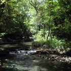 La Brague