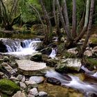 la Brague