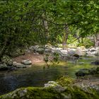 La brague