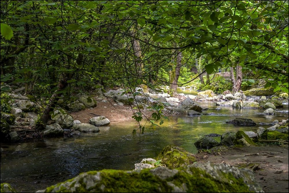 La brague