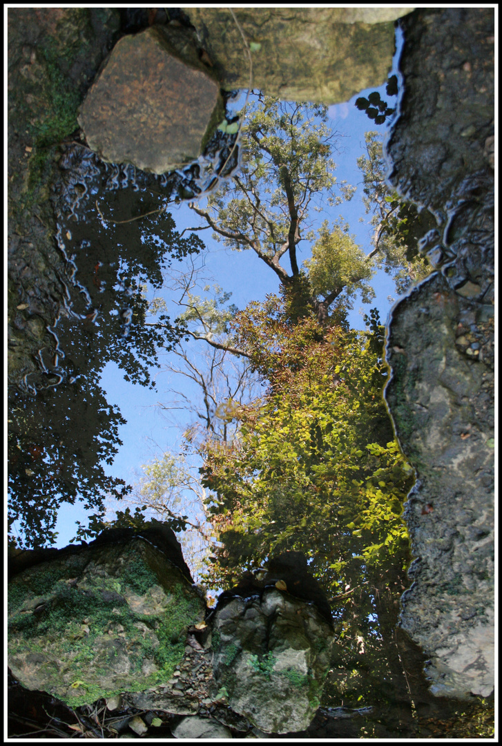 La Brague dans un reflet