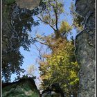 La Brague dans un reflet