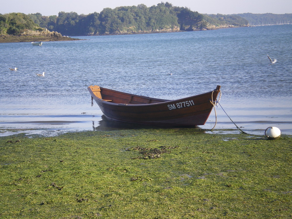 la bretagne dans toute sa splendeur