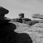 La Bretagne en Noir et Blanc ...