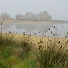 La Bretagne et sa brume