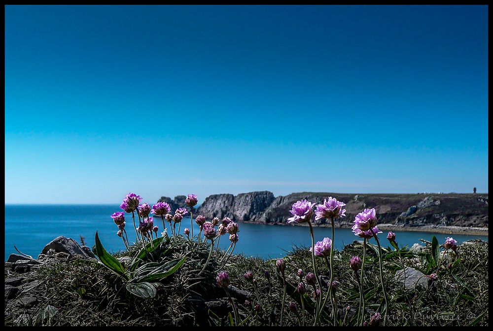 La bretagne sait se faire belle....