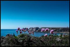 La bretagne sait se faire belle....