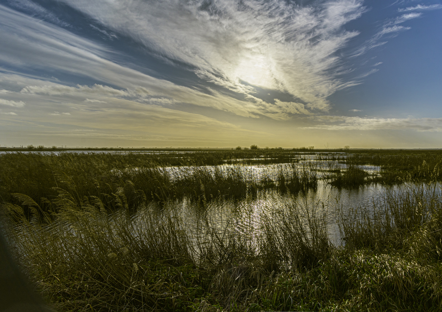 La Briere en Hiver #3