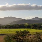 La  brousse du côté de la Ouenghi