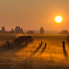 La brume du matin