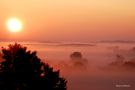 La brume du matin de Pierre LAVILLE 