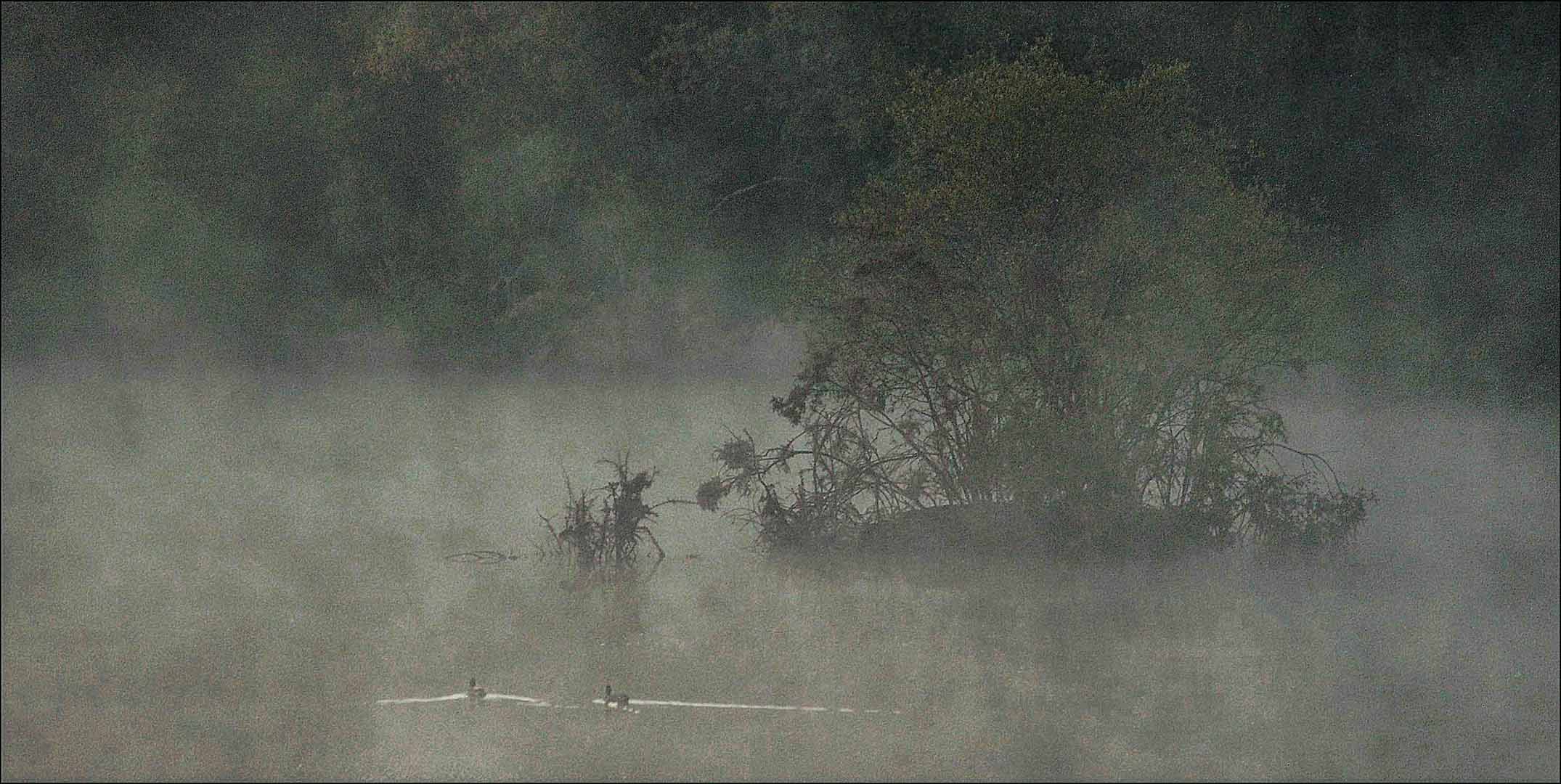 La brume mange l'étang bleu - Léognan