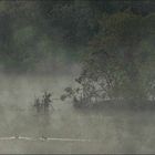 La brume mange l'étang bleu - Léognan