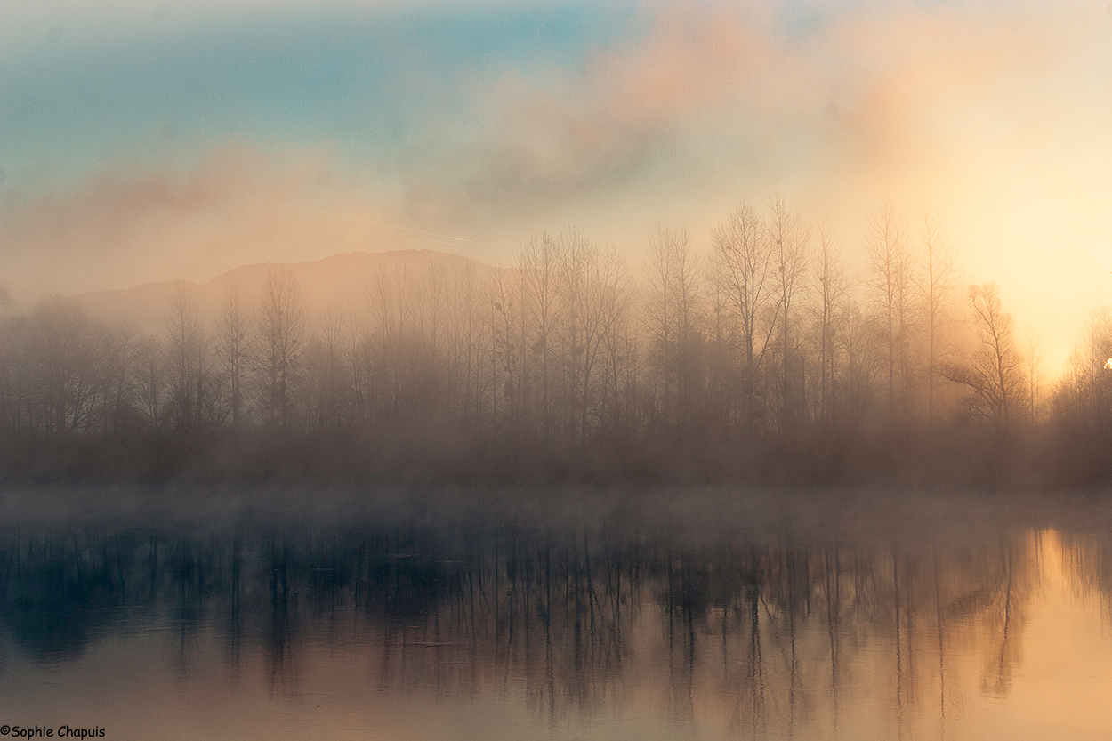 La brume se lève