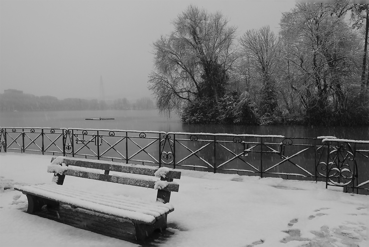 la brume s'est levès, la neige reste