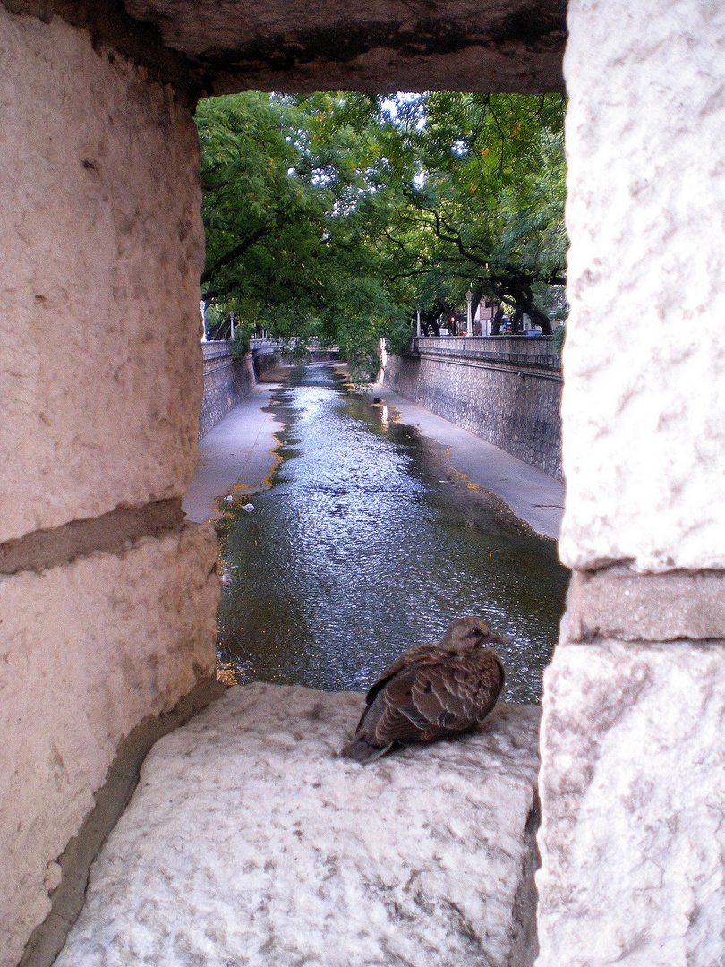 La Cañada - Córdoba - Argentina