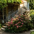 La cabaña de Chateaubriand