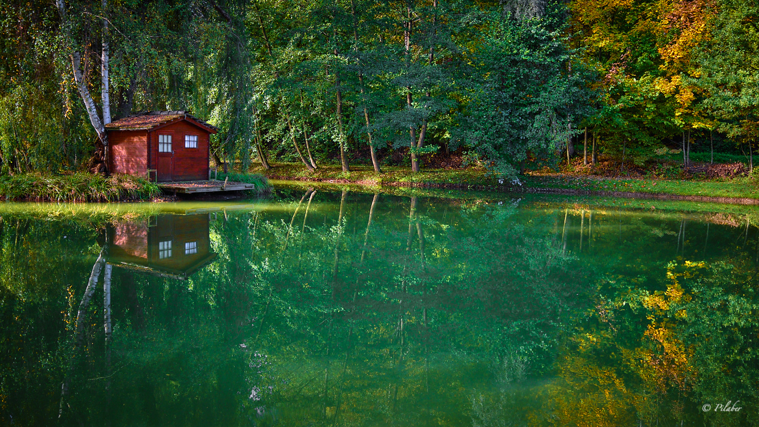 La cabane