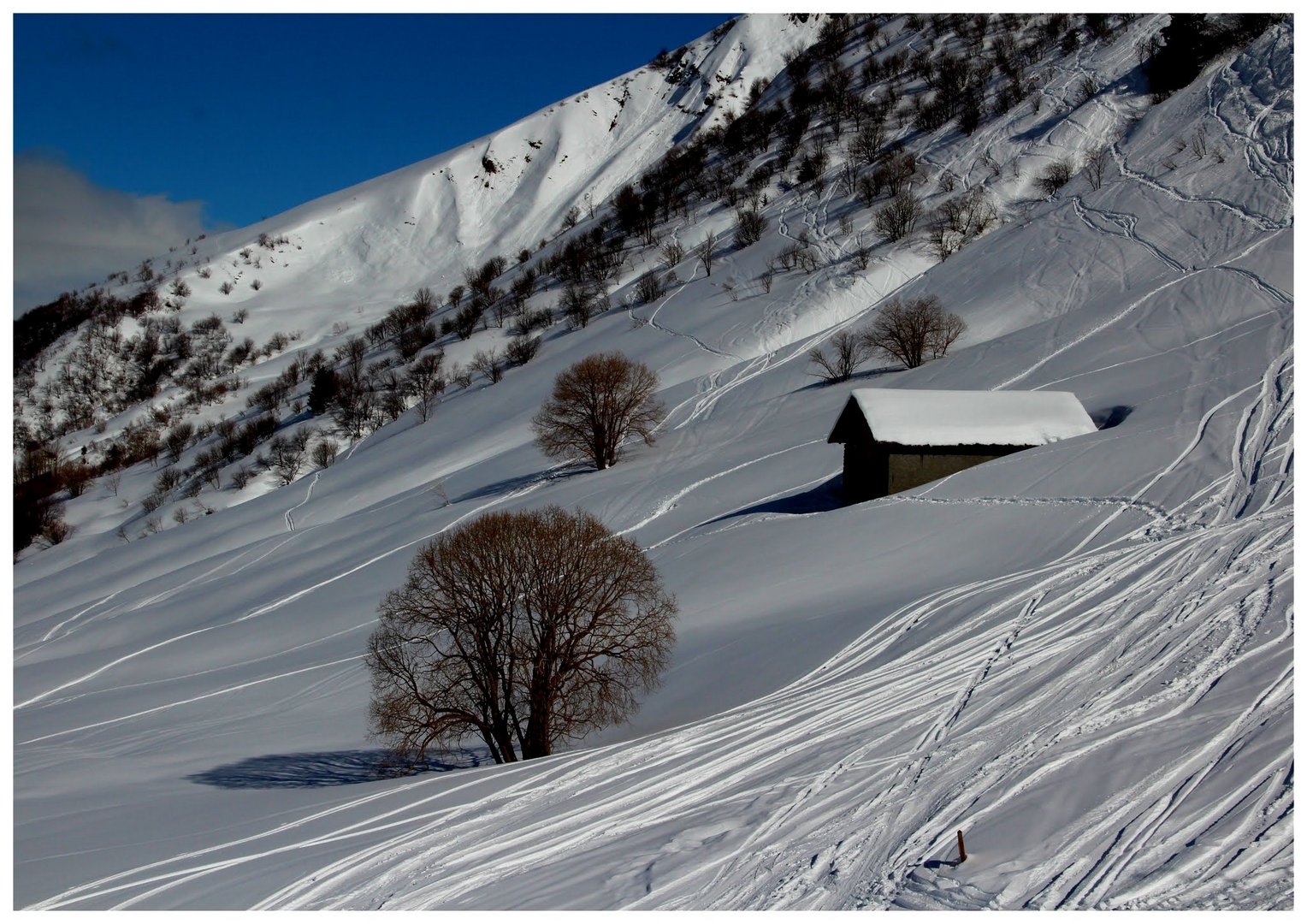 La cabane