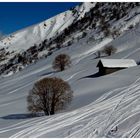 La cabane