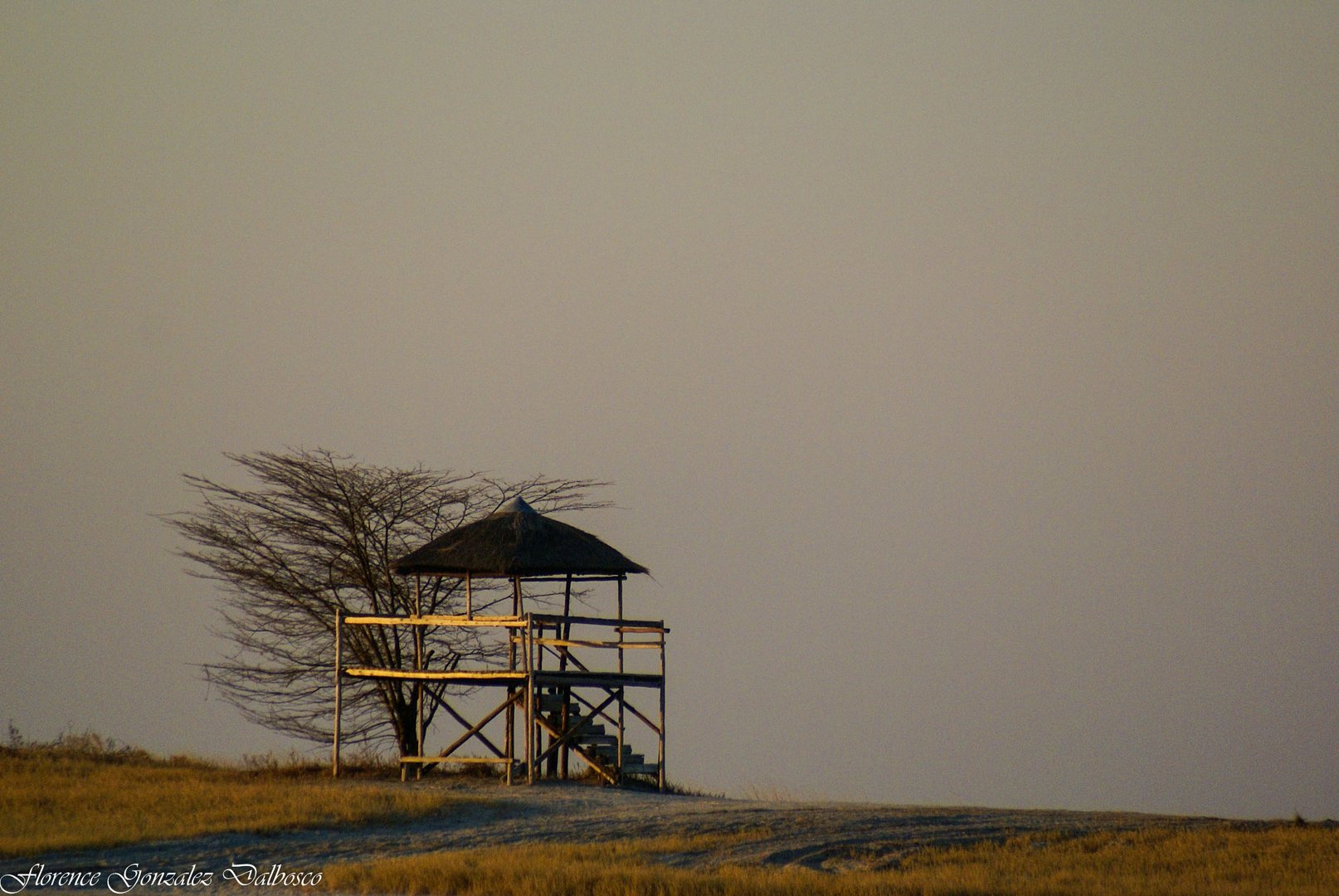 La cabane. 