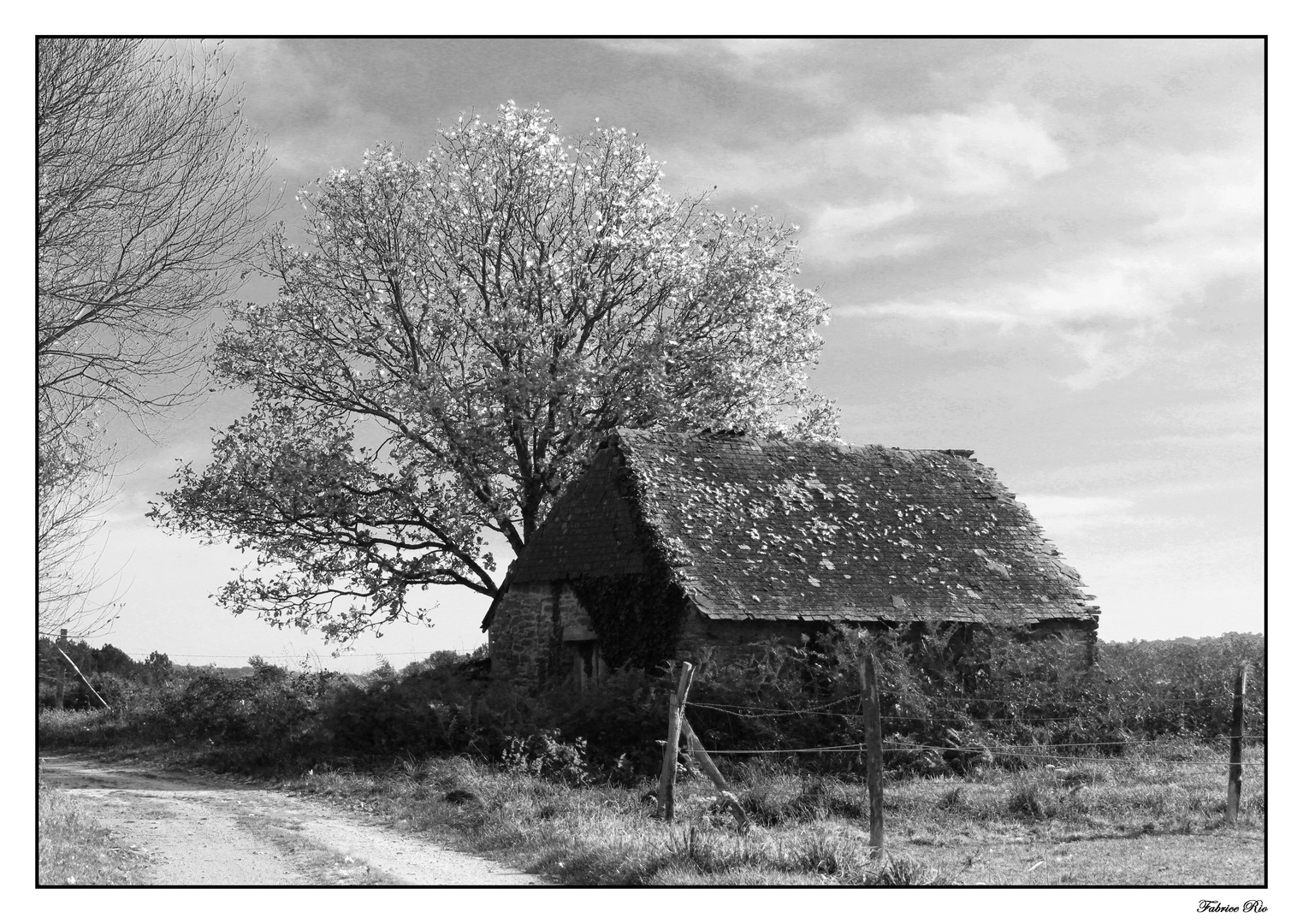 La cabane abandonnée