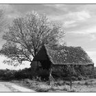 La cabane abandonnée