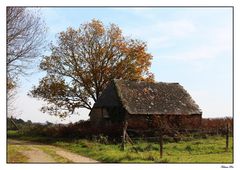 La cabane abandonnée (Version couleurs)