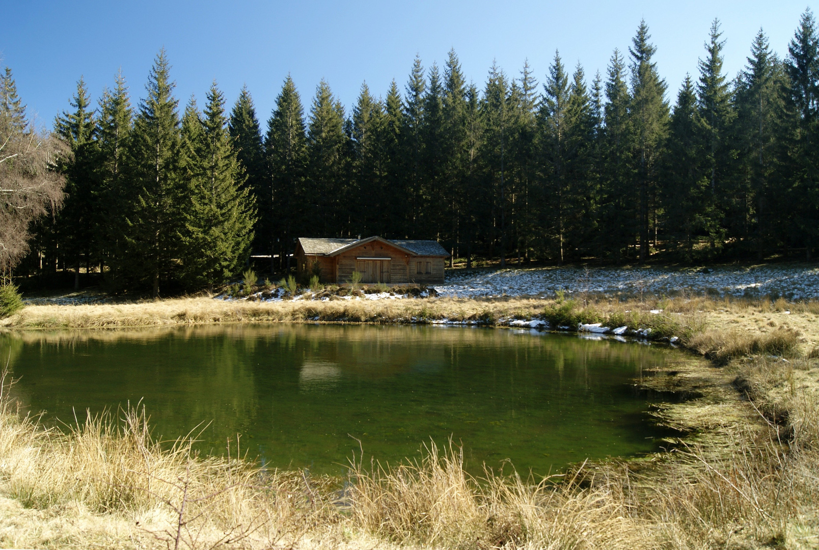 La cabane au fond des bois.