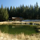 La cabane au fond des bois.