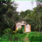 La cabane au fond des bois