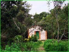 La cabane au fond des bois