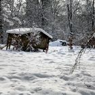 La cabane au fond du bois