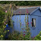 la cabane au fond du jardin