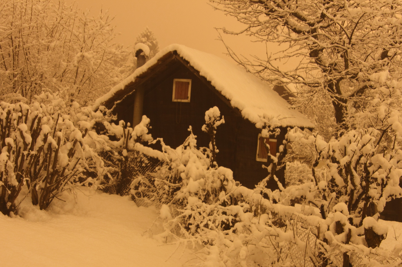 La cabane au fond du jardin