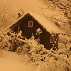 La cabane au fond du jardin