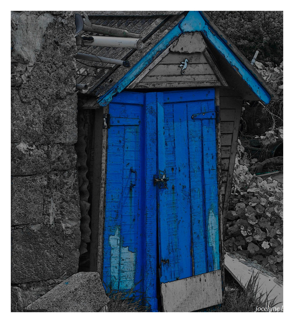 La cabane au fond du jardin