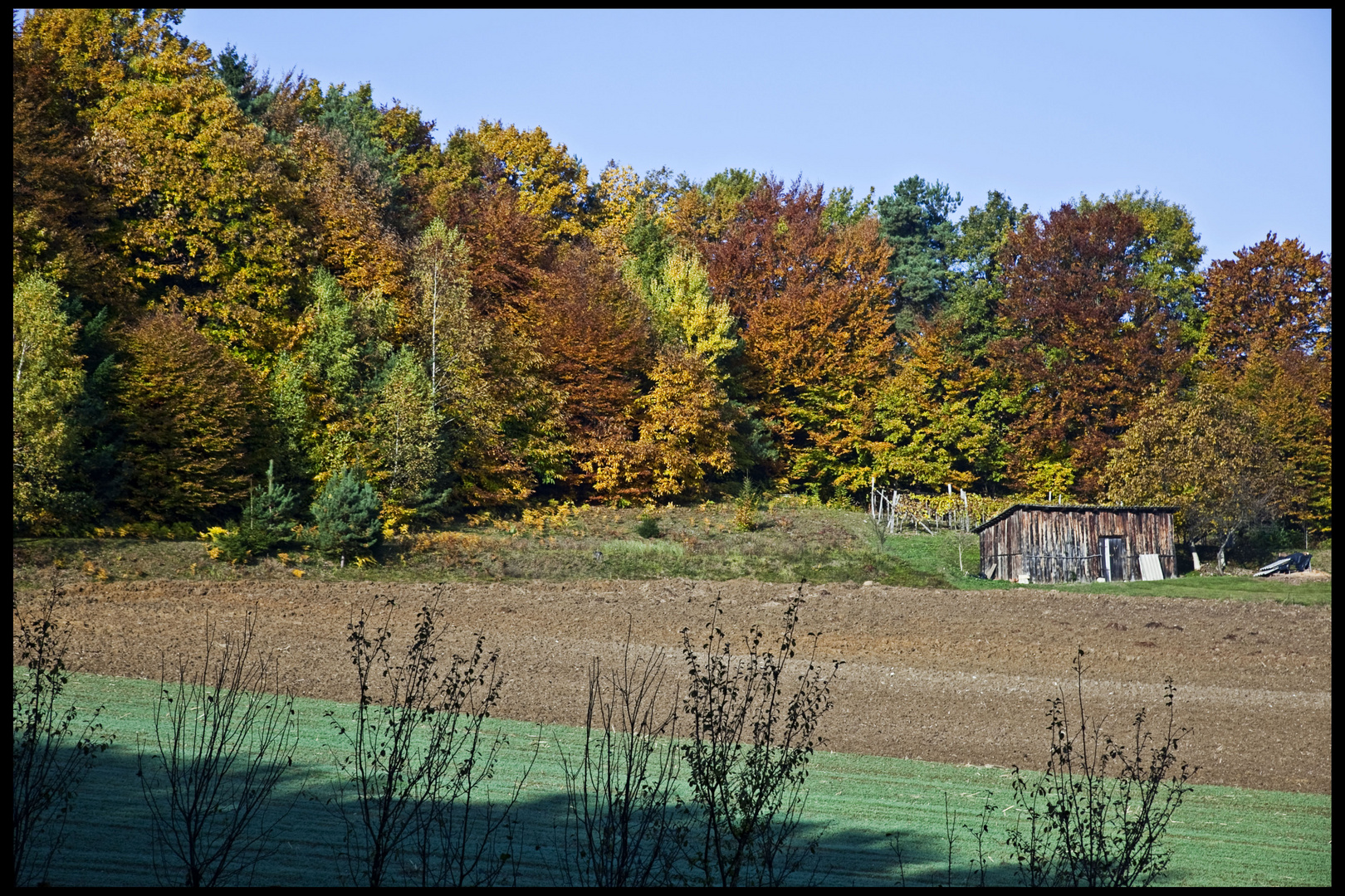 La cabane au fond du jardin...